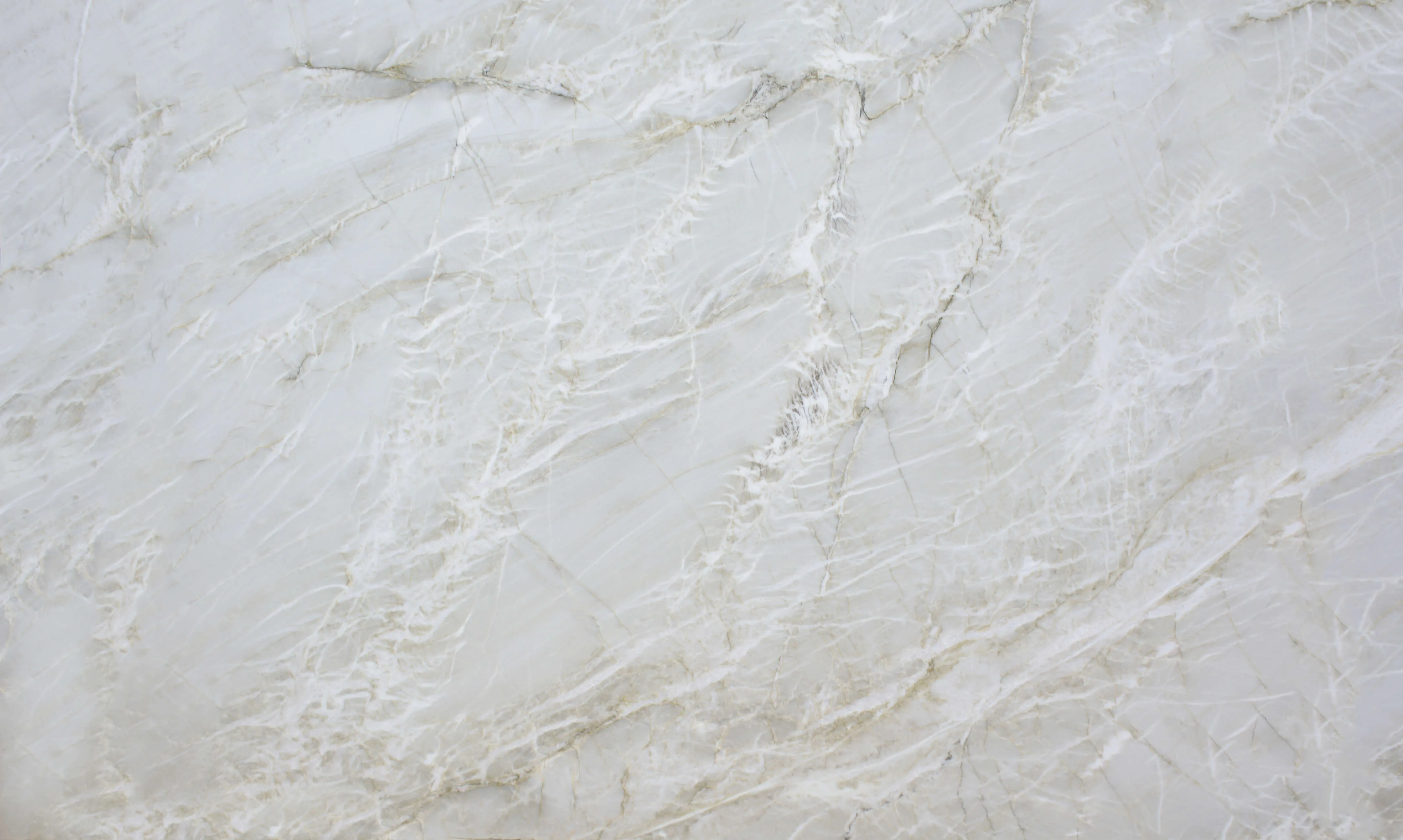 Le Blanc
